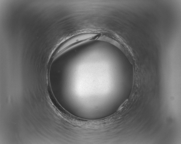 X0000056330011200509161721