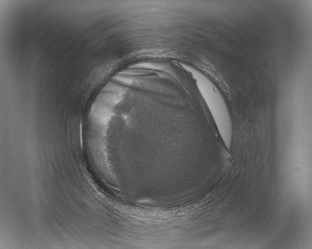 X0000056330014200509161721