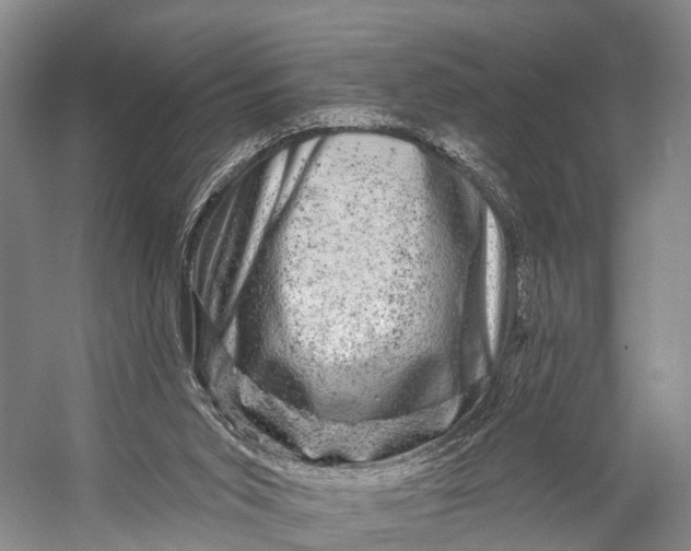 X0000056330015200509161721