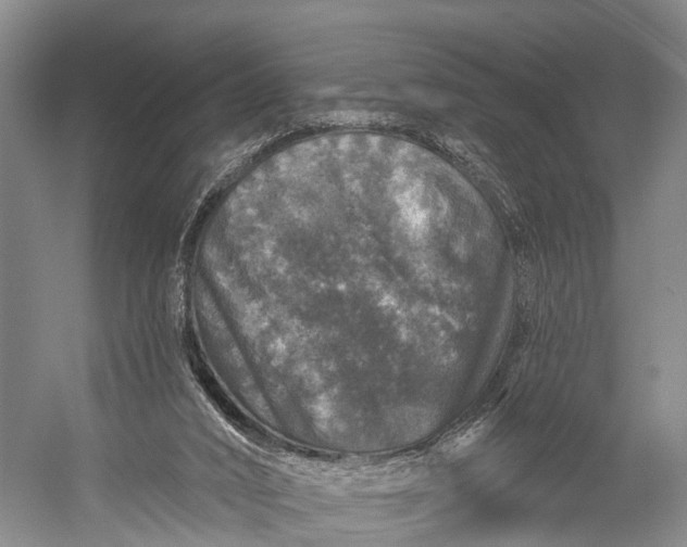 X0000056330016200509161721