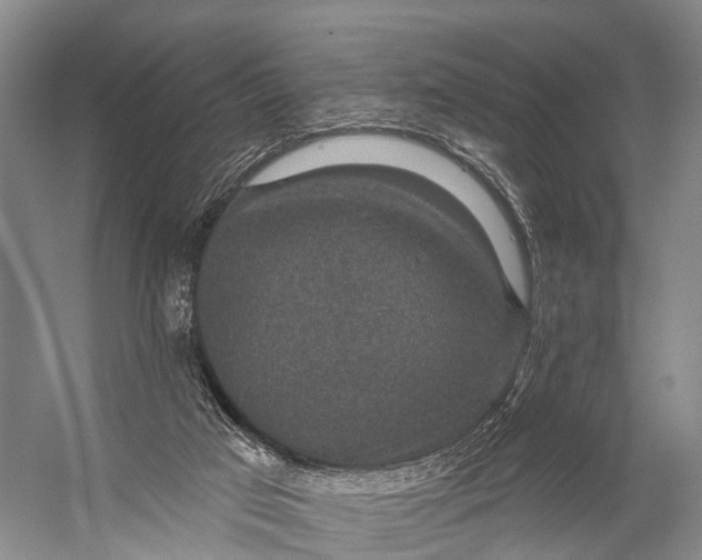 X0000056330017200509161721