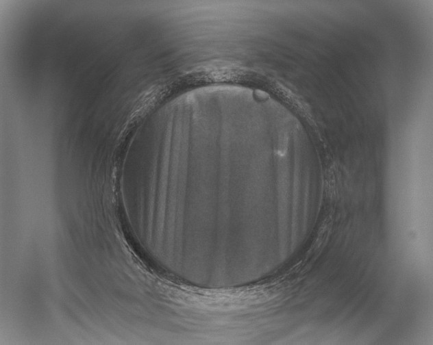 X0000056330018200509161721