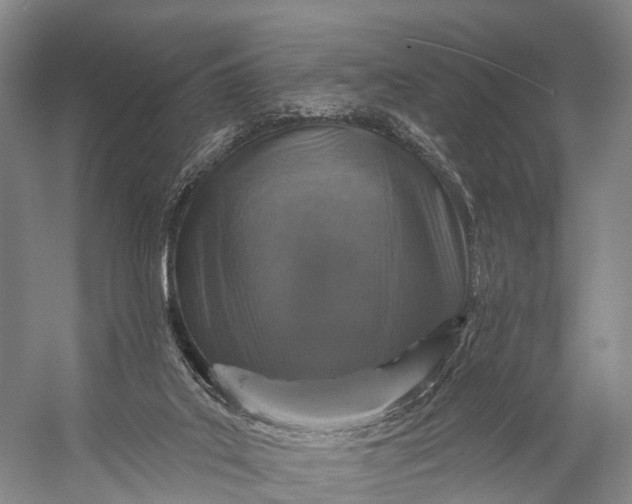 X0000056330019200509161721