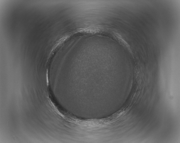 X0000056330020200509161721