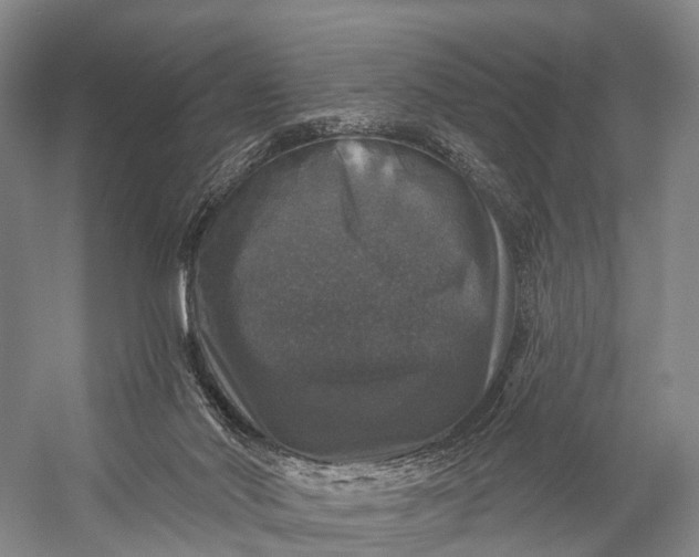 X0000056330022200509161721