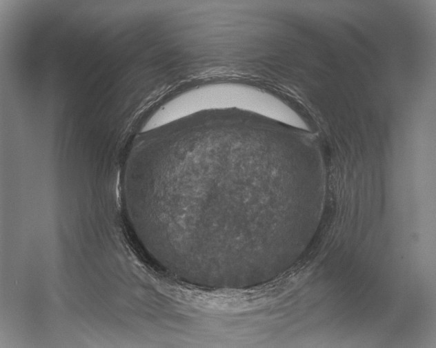 X0000056330024200509161721