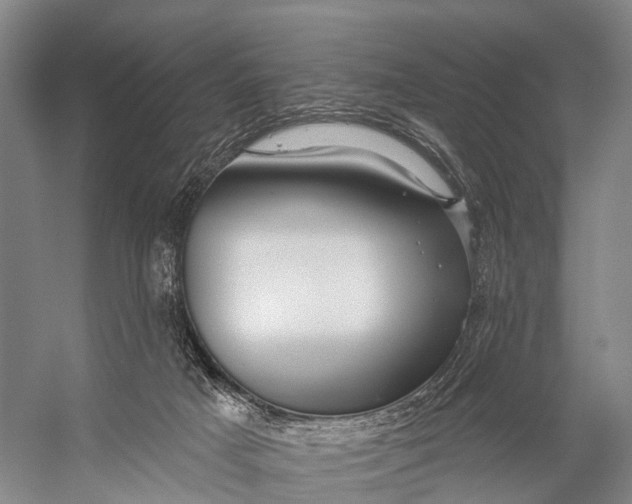 X0000056330025200509161721