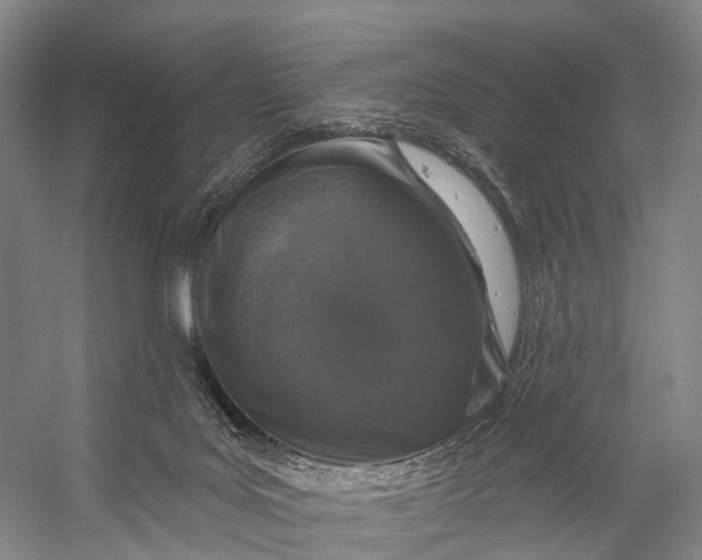 X0000056330027200509161721