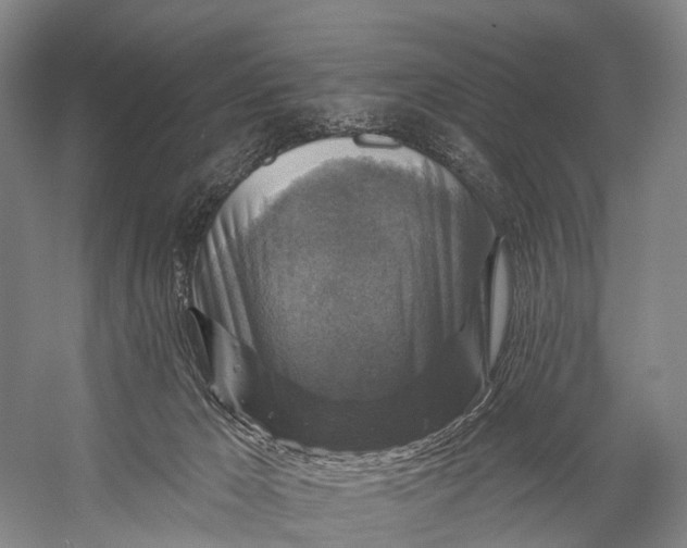 X0000056330029200509161721