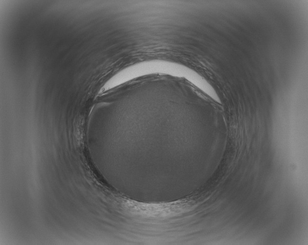 X0000056330030200509161721