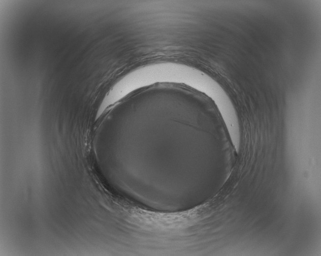 X0000056330031200509161721