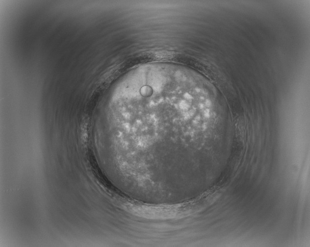 X0000056330032200509161721