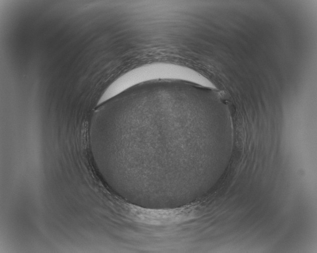 X0000056330034200509161721