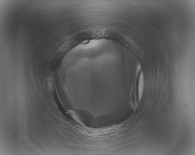 X0000056330035200509161721