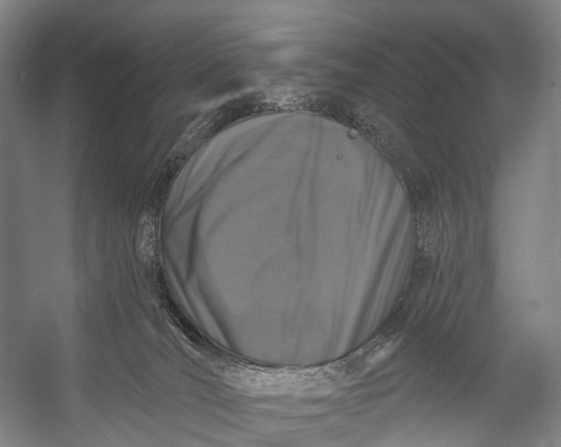 X0000056330036200509161721