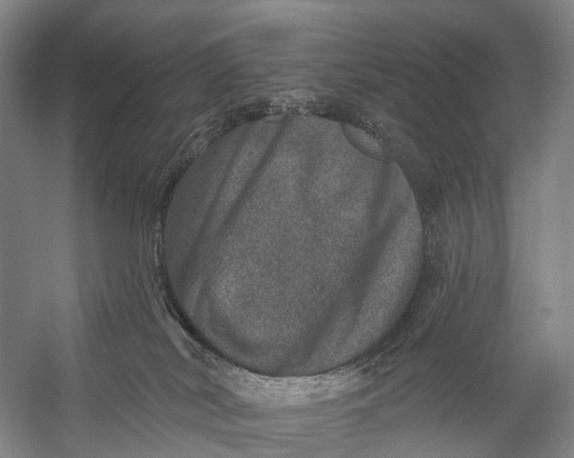 X0000056330038200509161721