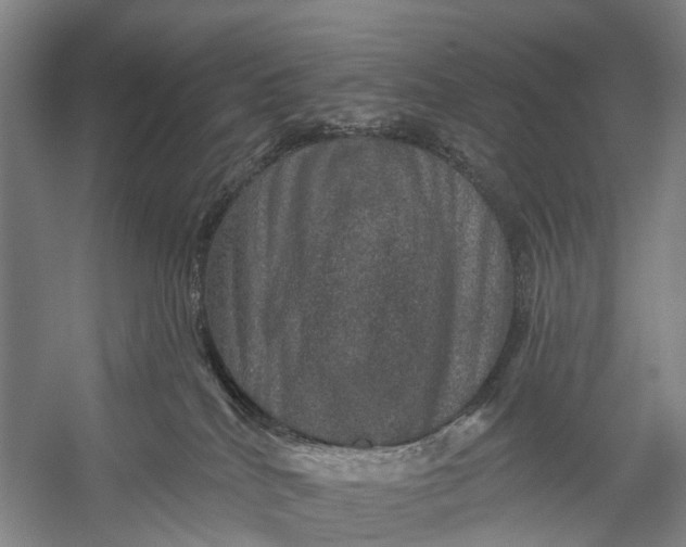 X0000056330040200509161721