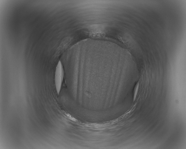 X0000056330041200509161721