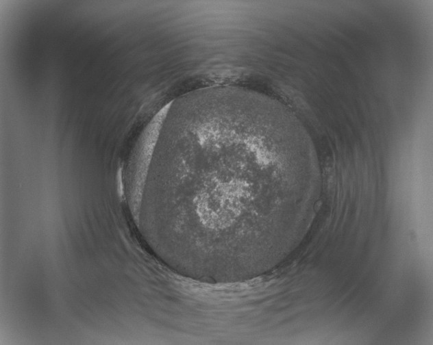 X0000056330042200509161721