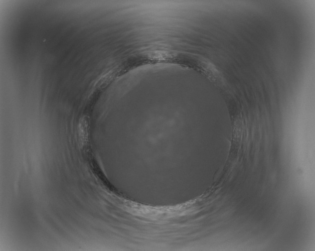 X0000056330043200509161721