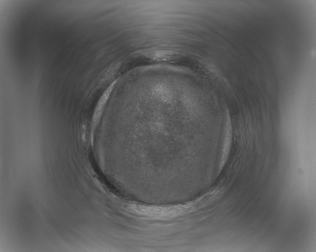 X0000056330044200509161721