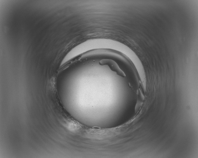 X0000056330045200509161721