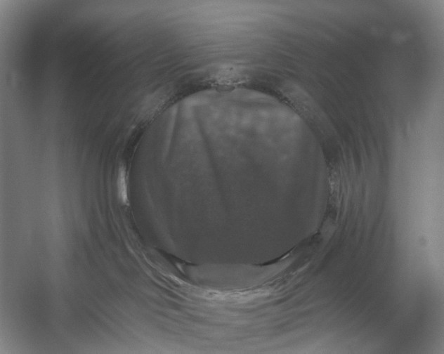 X0000056330046200509161721