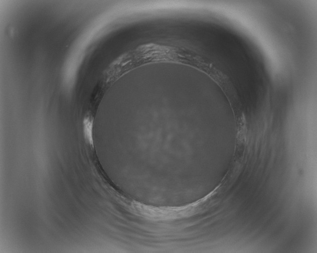 X0000056330047200509161721