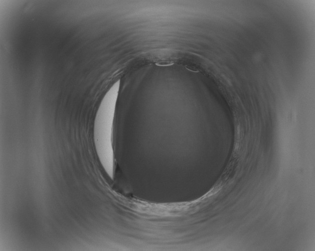 X0000056330048200509161721