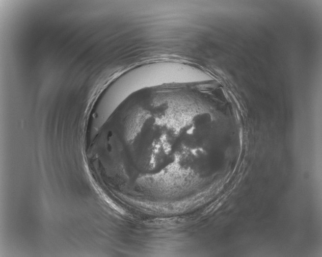 X0000056330049200509161720