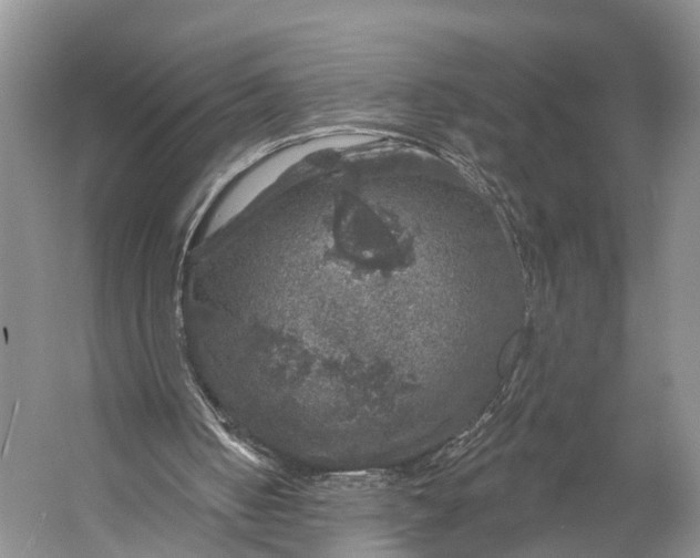 X0000056330050200509161720