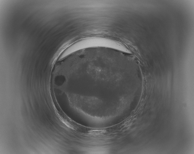 X0000056330051200509161720