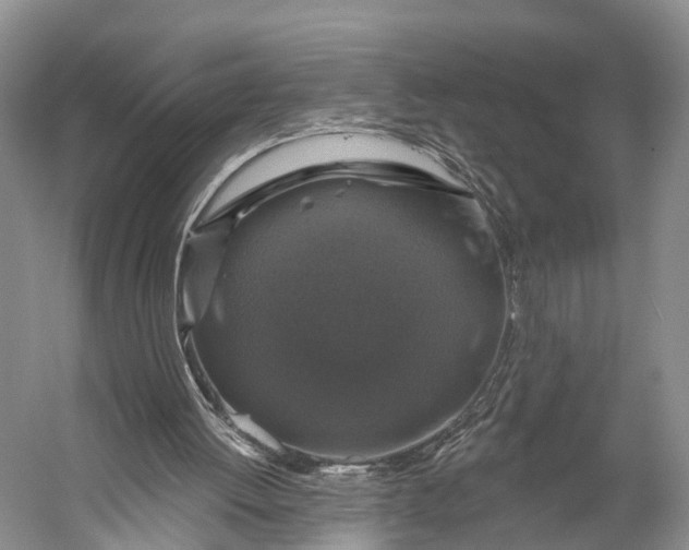 X0000056330052200509161720