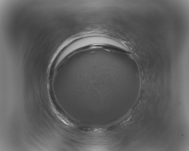 X0000056330056200509161720