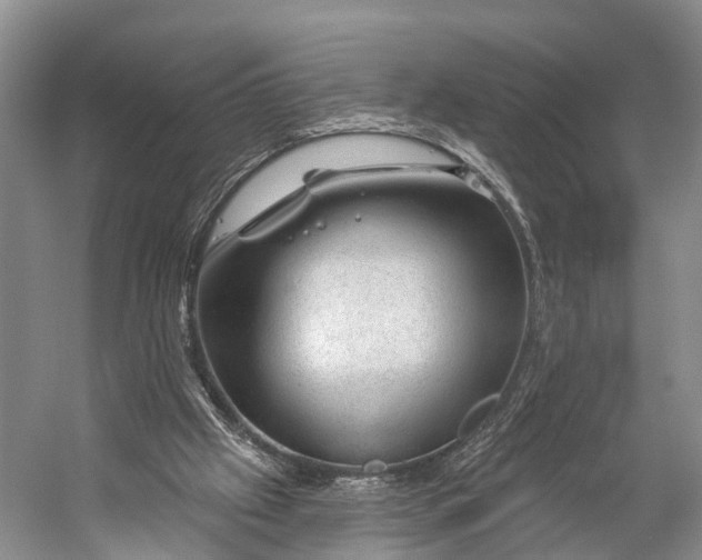 X0000056330057200509161720