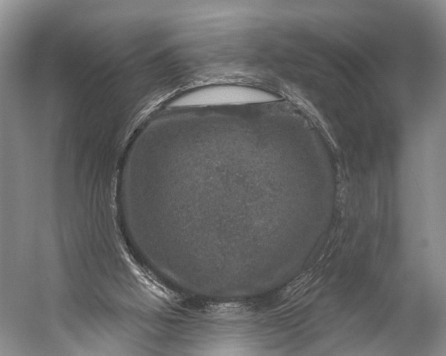 X0000056330058200509161720