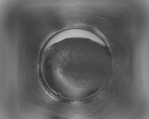 X0000056330059200509161720