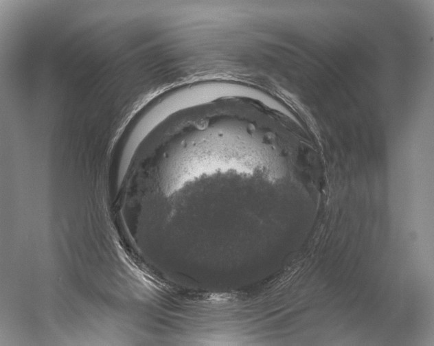 X0000056330060200509161720