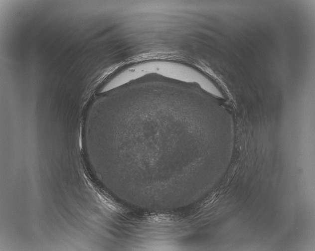 X0000056330062200509161720