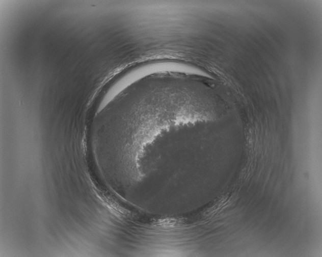 X0000056330064200509161720