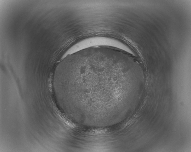 X0000056330065200509161720