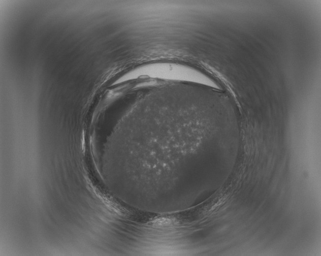 X0000056330067200509161720