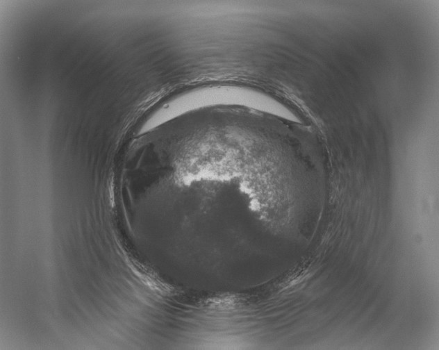 X0000056330068200509161720