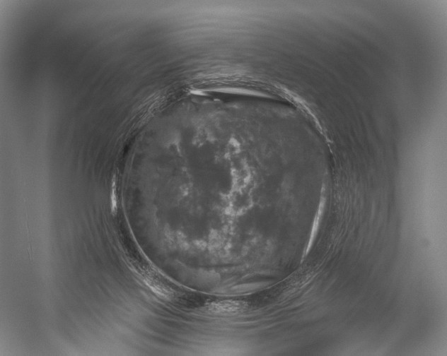 X0000056330069200509161720