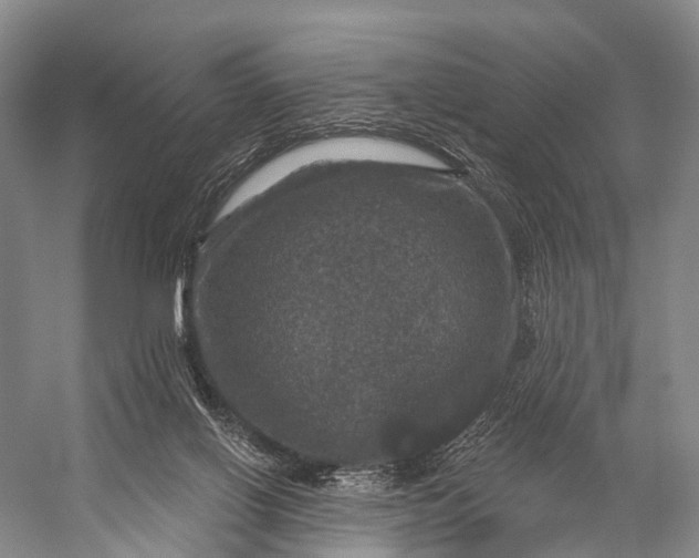 X0000056330070200509161720