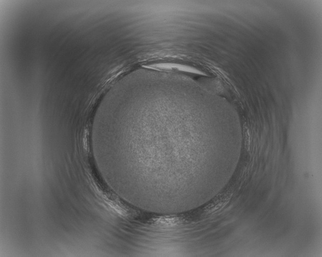 X0000056330071200509161720