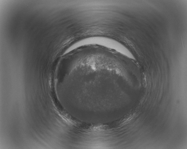 X0000056330072200509161720