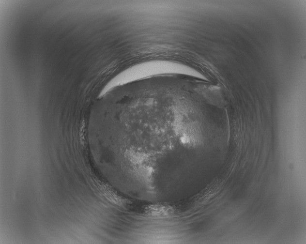 X0000056330073200509161720