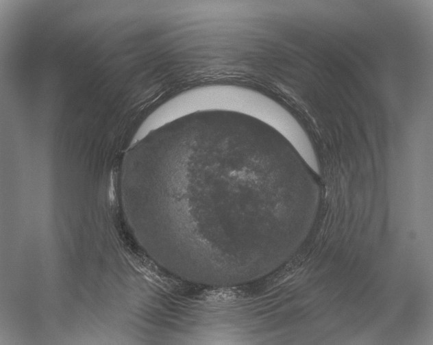 X0000056330075200509161720