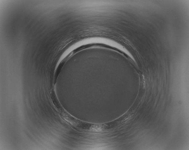 X0000056330076200509161720